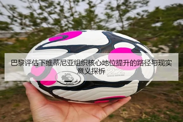 巴黎评估下维蒂尼亚组织核心地位提升的路径与现实意义探析 | kaiyun