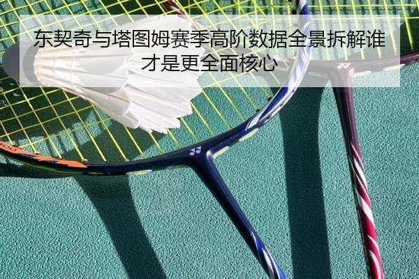 东契奇与塔图姆赛季高阶数据全景拆解谁才是更全面核心 - kaiyun